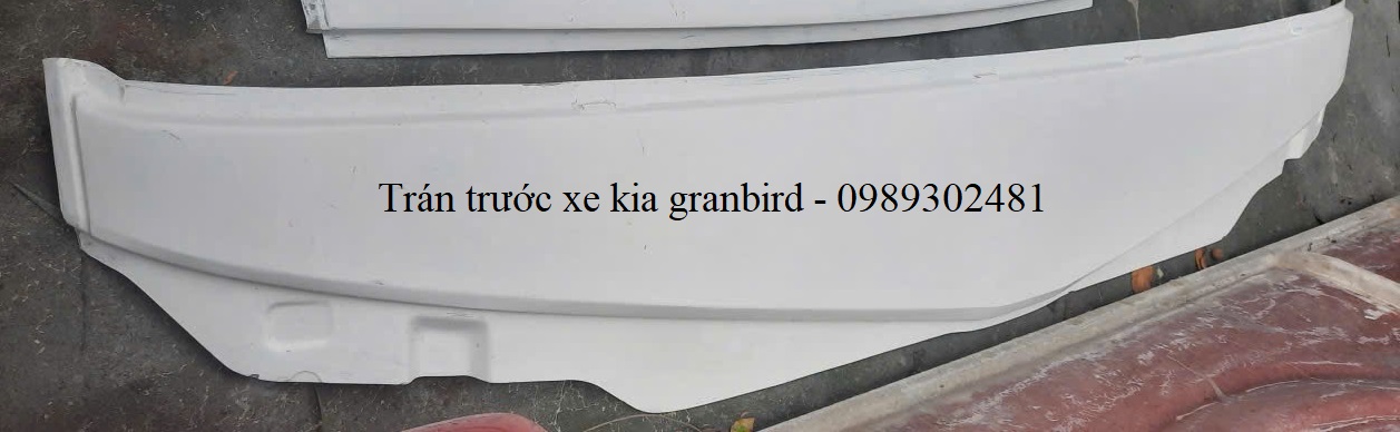 Trán Trước Xe Kia Granbird 711108S101