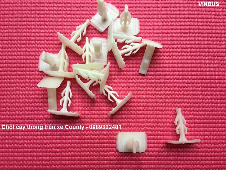 chot cay thong nep tran xe county