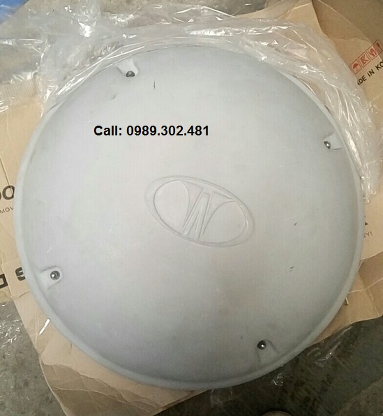 Nắp đậy quạt hút gió nóc xe county