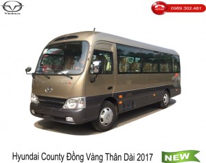 Hyundai County Đồng Vàng Thân Dài 