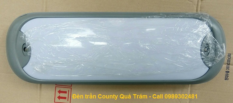 Đèn trần County Quả Trám