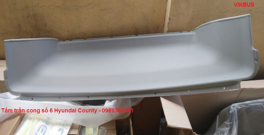 Tấm trần cong số 6 xe County