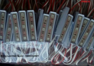 Bóng đèn LED Hàn Quốc